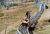Picture of 5 rides Coaster Bob