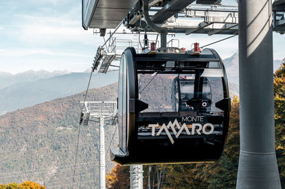 Immagine di S/A adulto